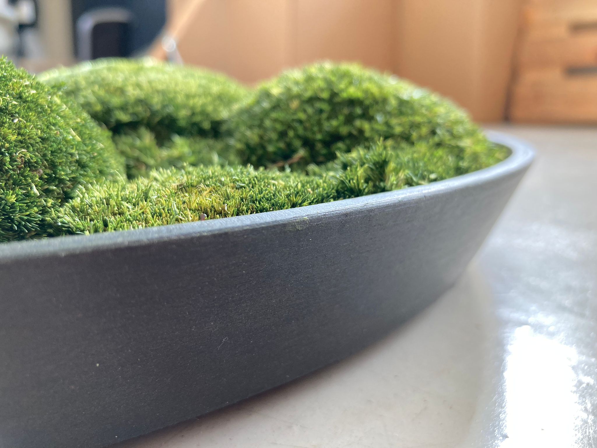 Mosschilderij 100% Bolmos 45cm