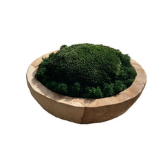 MosMeister Wooden Teak moss bowl