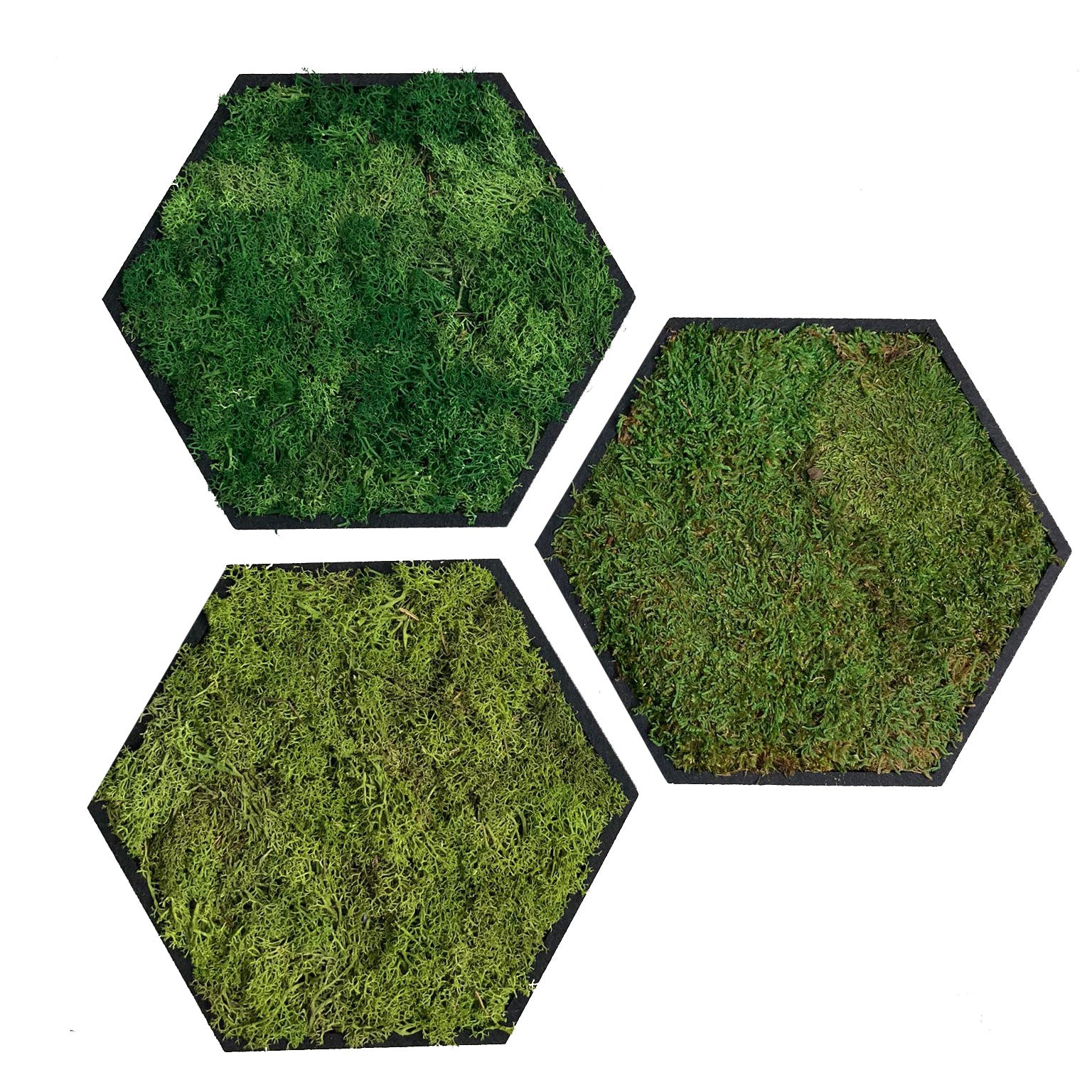 Mosmeister Hexagons