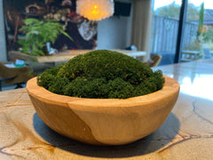 MosMeister Wooden Teak moss bowl